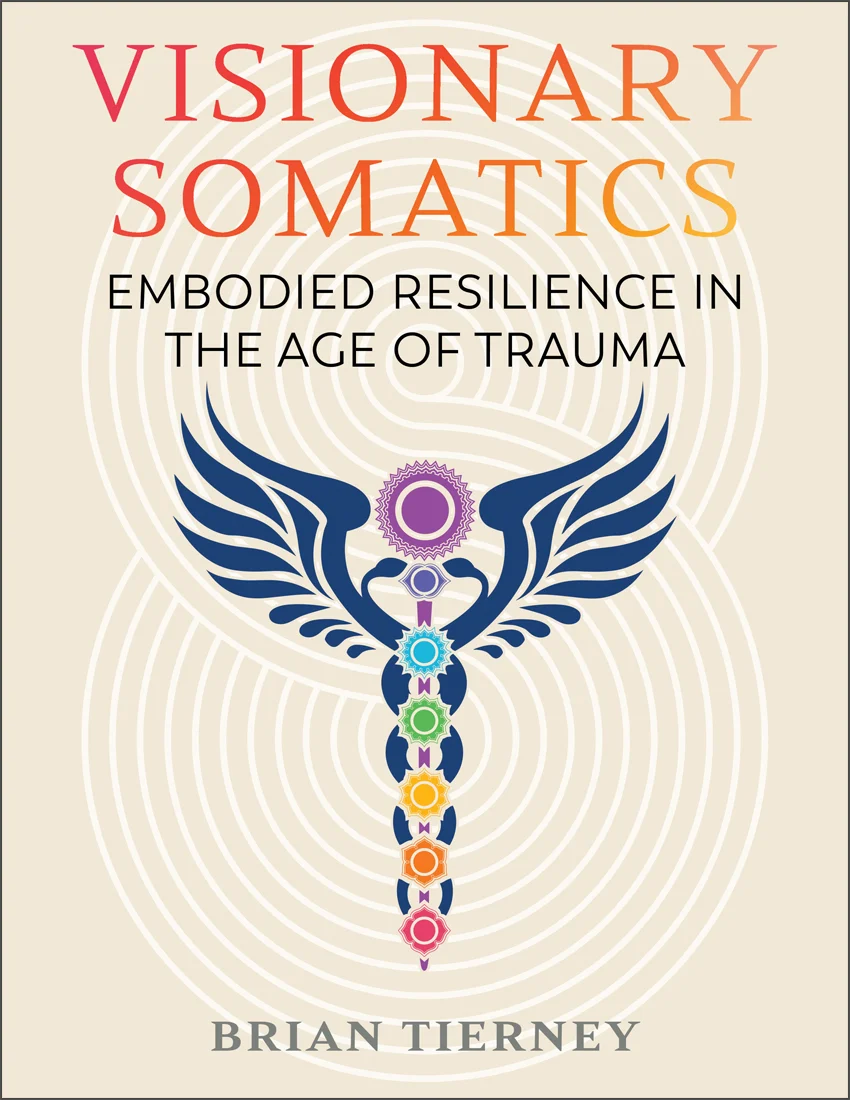 Visionary Somatics book cover